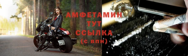 дживик Няндома