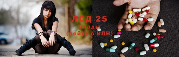 дживик Няндома