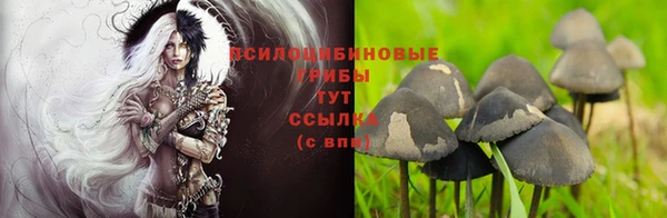 таблы Нягань
