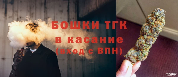 дживик Няндома
