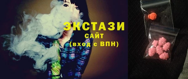 дживик Няндома