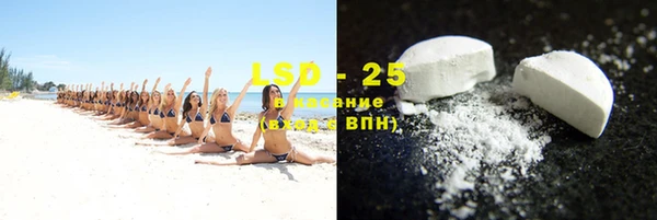 дживик Няндома