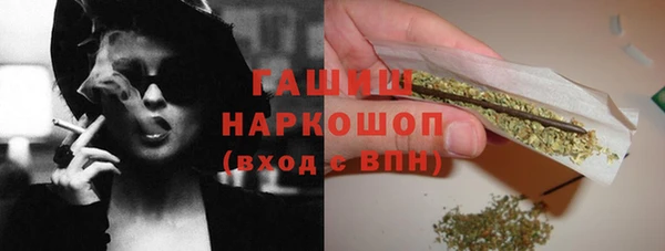 дживик Няндома