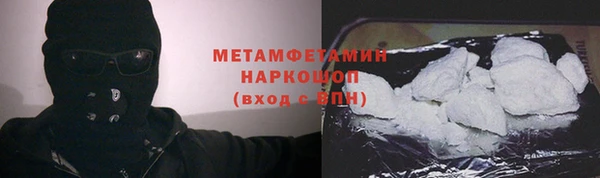дживик Няндома
