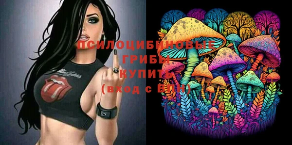 дживик Няндома