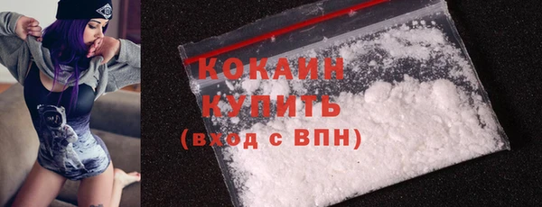 дживик Няндома