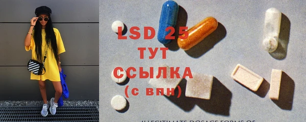 дживик Няндома